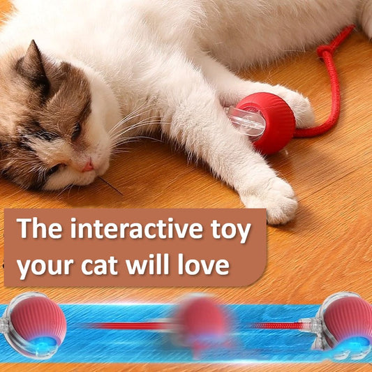 KittySmart Ball – The Ultimate Interactive Cat Toy 🐾