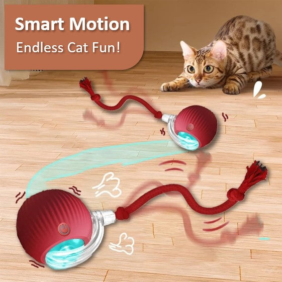 KittySmart Ball – The Ultimate Interactive Cat Toy 🐾